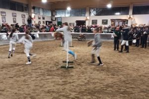 16 hobby horse bambine.jpg