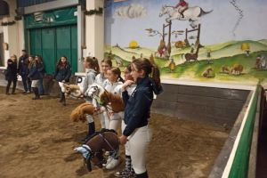 16 hobby horse bambine pronte.jpg