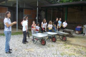 olimpiadi01.jpg